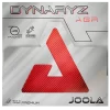 70511 JOOLA Dynaryz AGR 06 web
